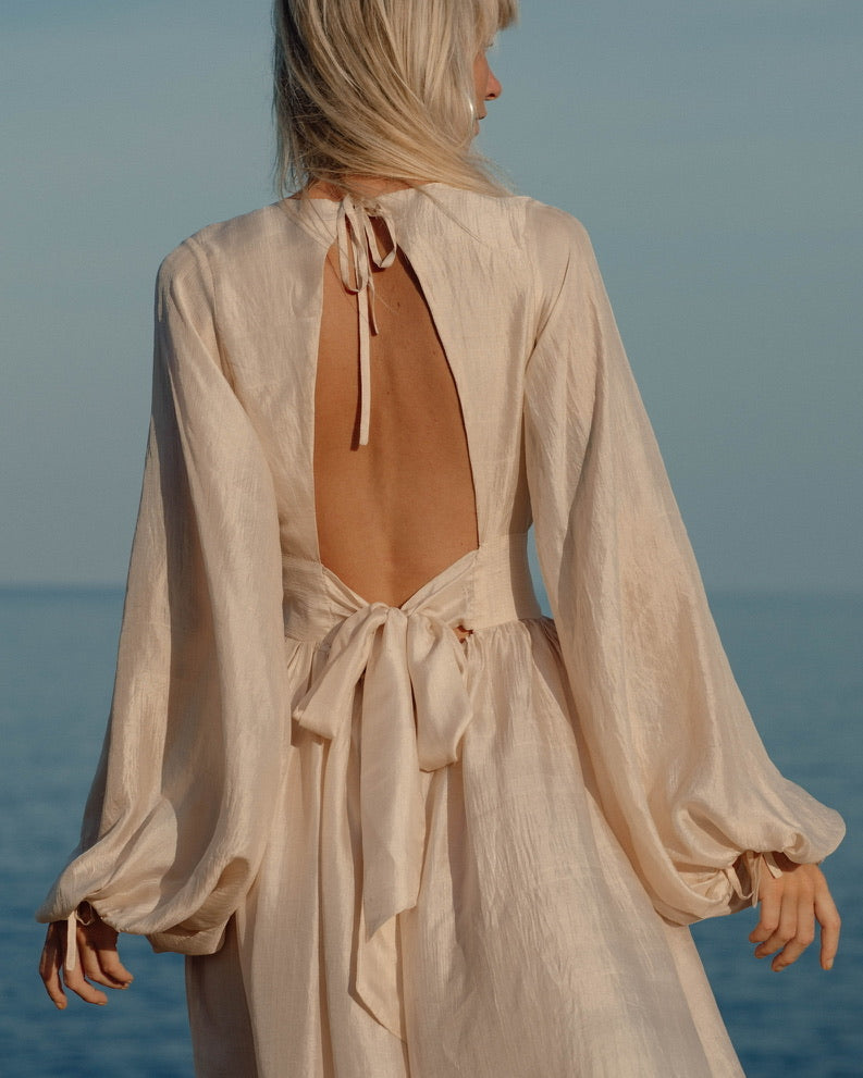 Lakshmi Dress